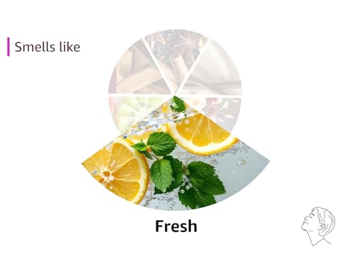 NEST New York Scented Classic Candle, Amber & Incense - 8.1 oz - Up to 60-Hour Burn Time - Reusable Glass Vessel