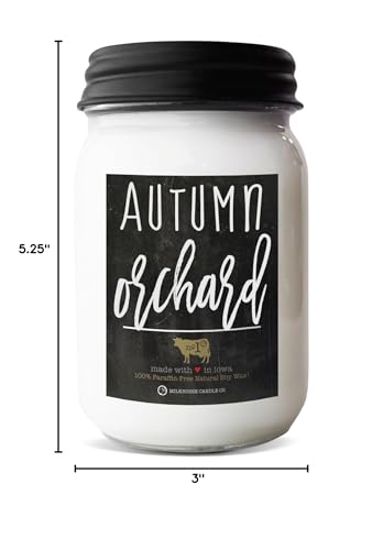 Milkhouse Candle Company - Balsam & Cedar - 26oz Beeswax and Soy Candles - Farmhouse Collection - 100% Natural, Paraffin Free, with Premium Fragrance Oil, Glass Jars with Lids