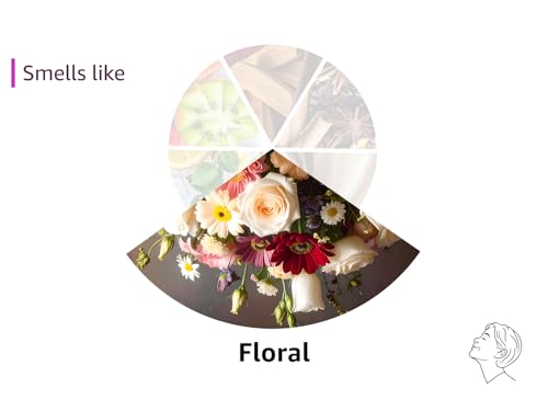 NEST New York Scented Classic Candle, Amber & Incense - 8.1 oz - Up to 60-Hour Burn Time - Reusable Glass Vessel