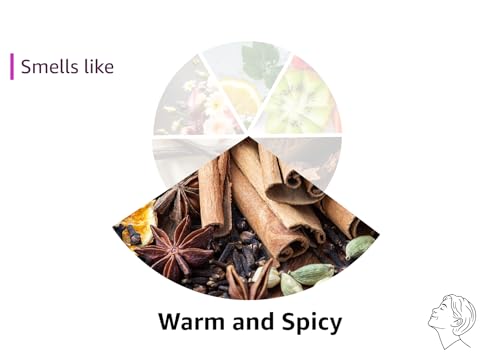 NEST New York Scented Classic Candle, Amber & Incense - 8.1 oz - Up to 60-Hour Burn Time - Reusable Glass Vessel