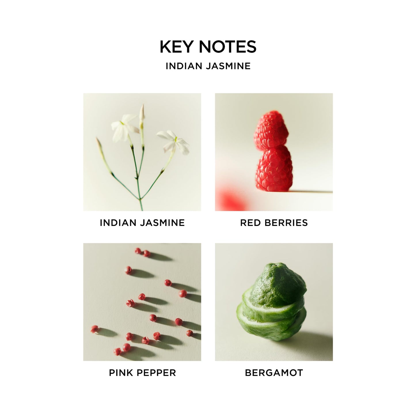 NEST New York Scented Classic Candle, Amber & Incense - 8.1 oz - Up to 60-Hour Burn Time - Reusable Glass Vessel