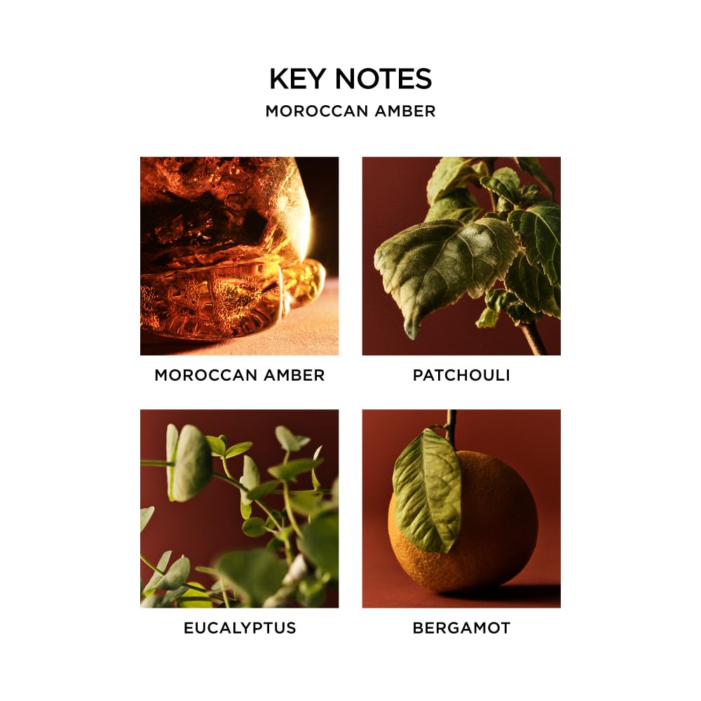 NEST New York Scented Classic Candle, Amber & Incense - 8.1 oz - Up to 60-Hour Burn Time - Reusable Glass Vessel