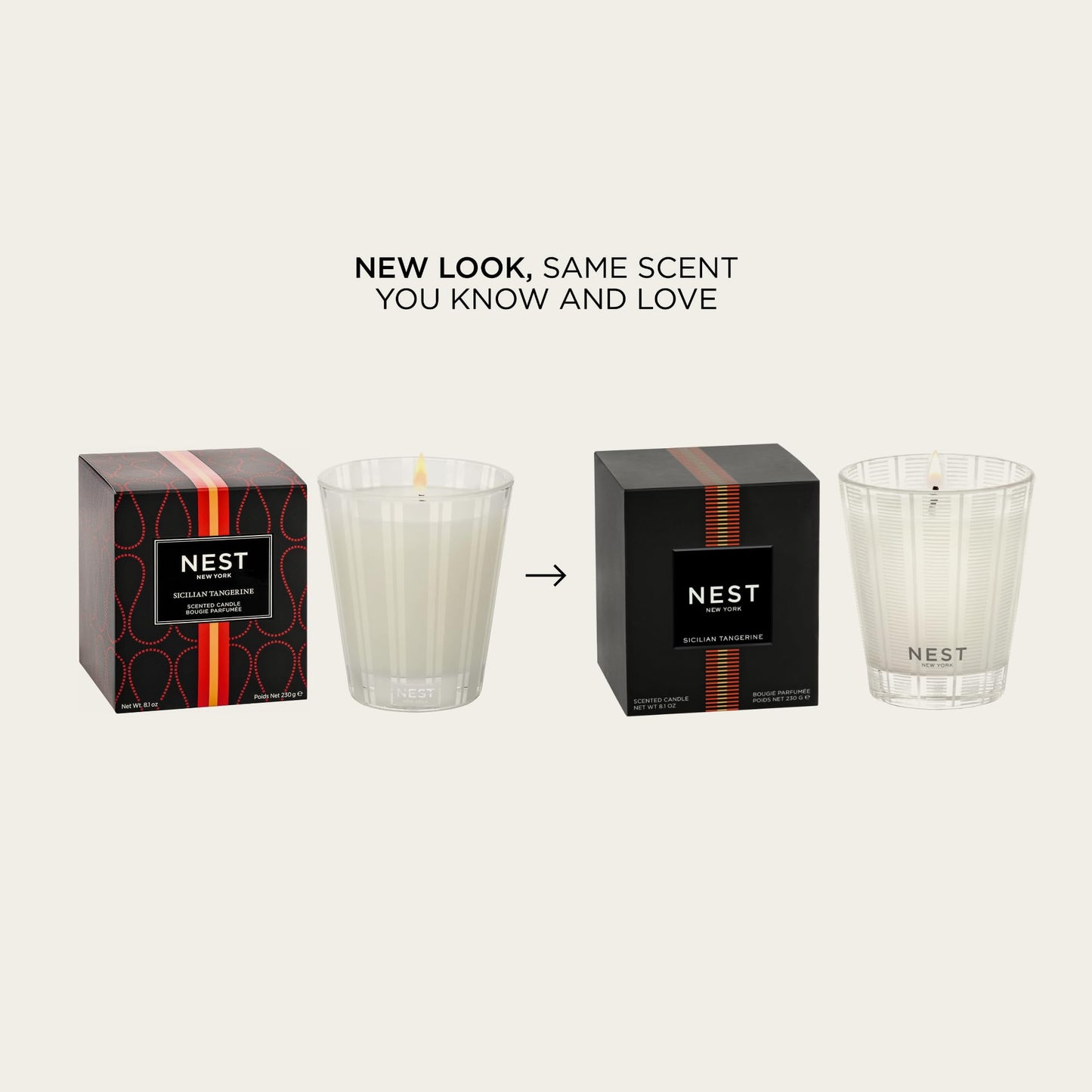 NEST New York Scented Classic Candle, Amber & Incense - 8.1 oz - Up to 60-Hour Burn Time - Reusable Glass Vessel