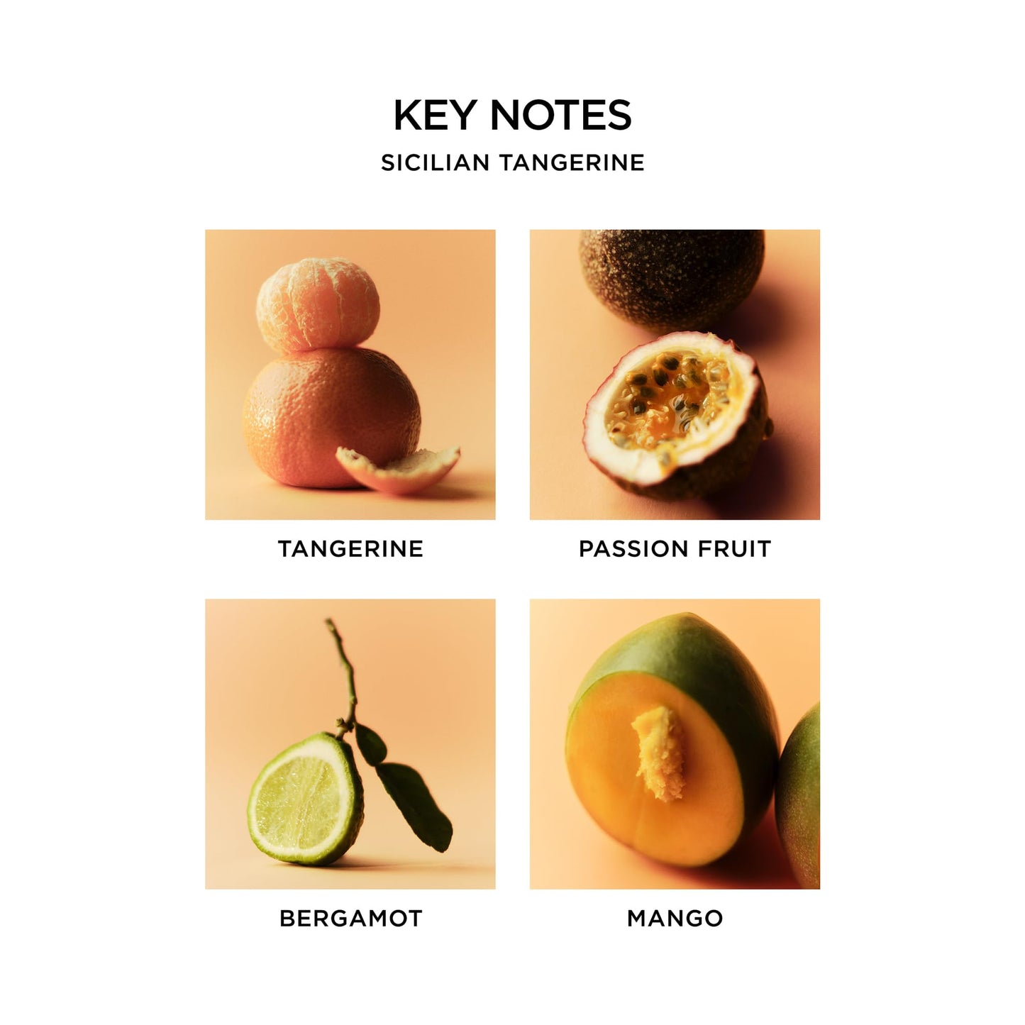 NEST New York Scented Classic Candle, Amber & Incense - 8.1 oz - Up to 60-Hour Burn Time - Reusable Glass Vessel