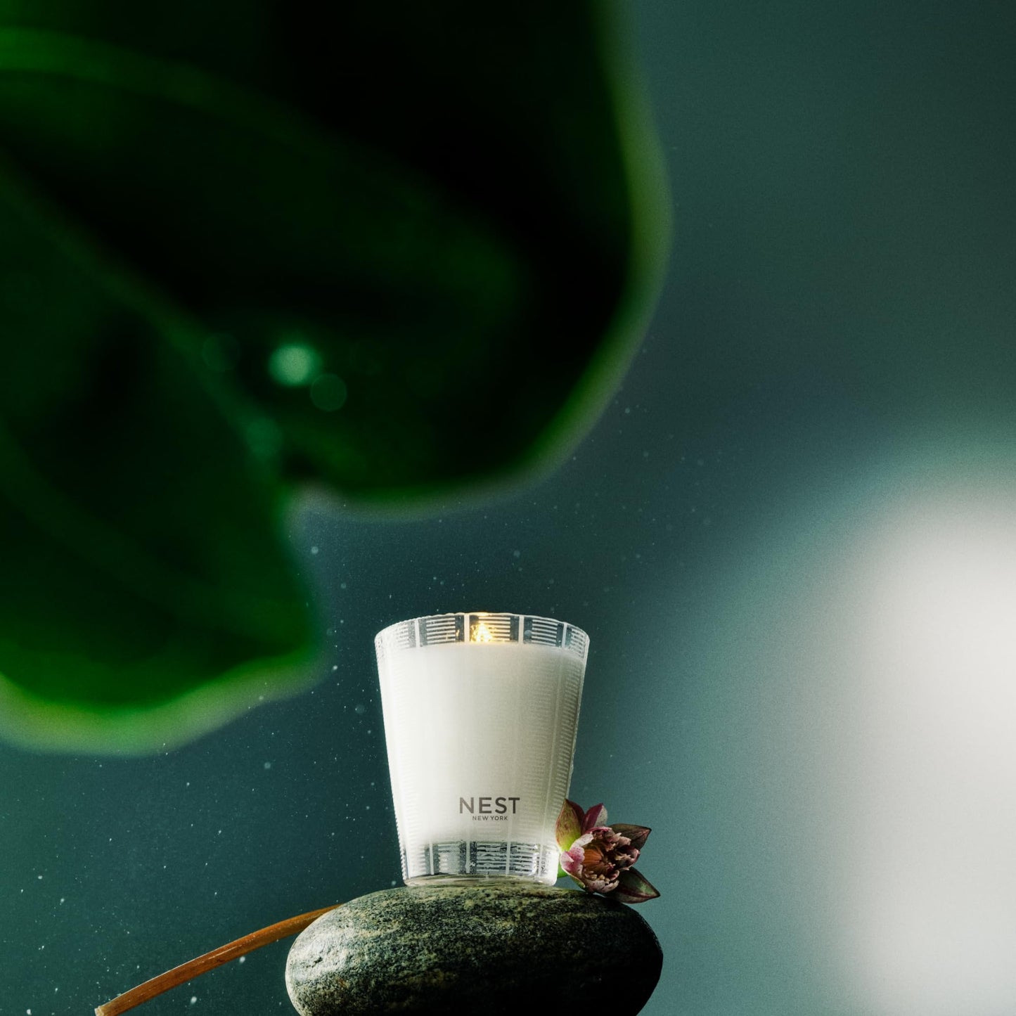 NEST New York Scented Classic Candle, Amber & Incense - 8.1 oz - Up to 60-Hour Burn Time - Reusable Glass Vessel