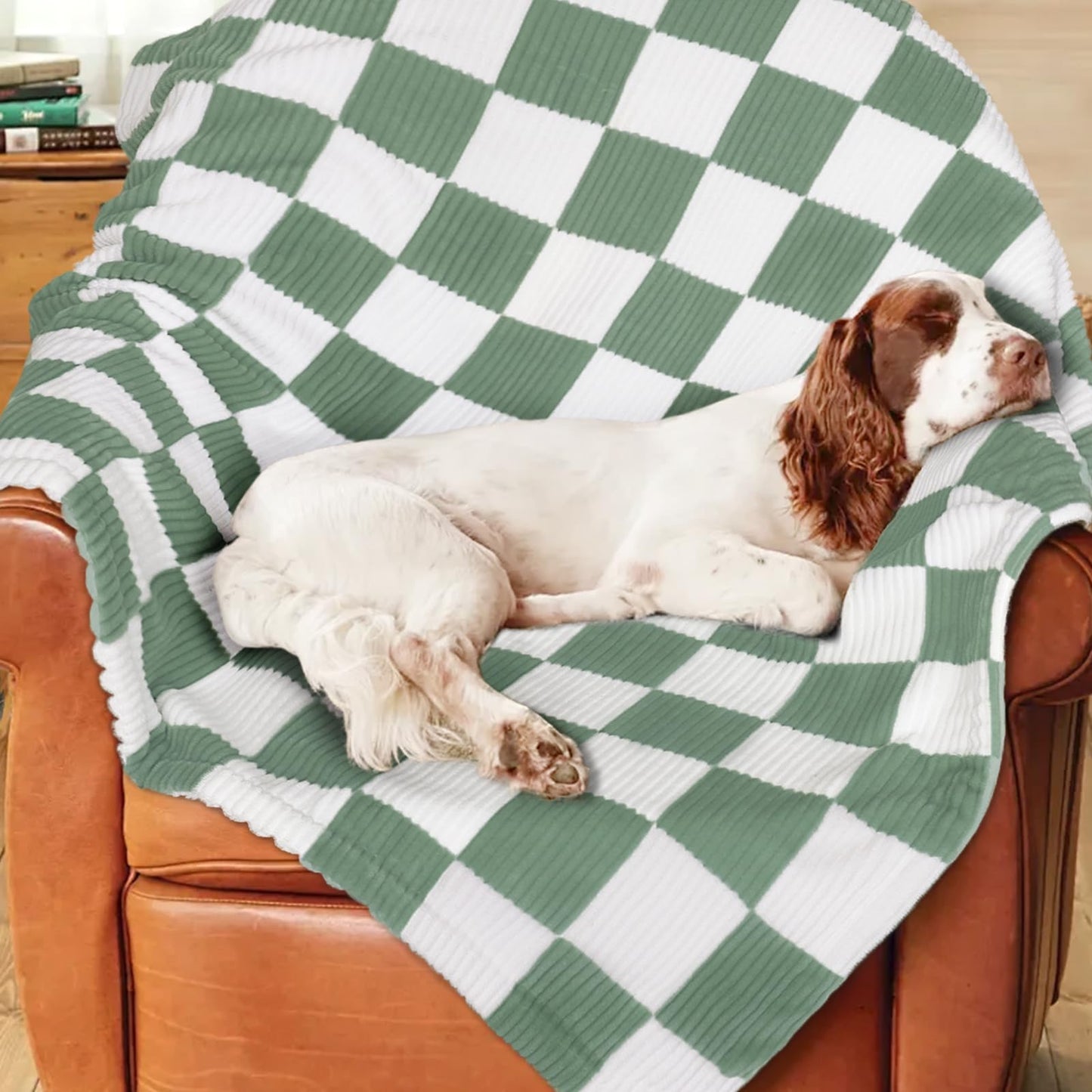 HOMRITAR Black and White Baby Blanket for Boys Ultra Soft Warm Lightweight Toddler Blanket with High Contrast Checkered, 3D Double Layer Fleece for Newborn Visual Touch Sensory 30x40 Inch