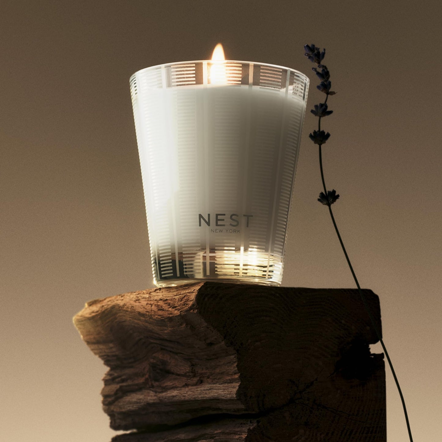 NEST New York Scented Classic Candle, Amber & Incense - 8.1 oz - Up to 60-Hour Burn Time - Reusable Glass Vessel