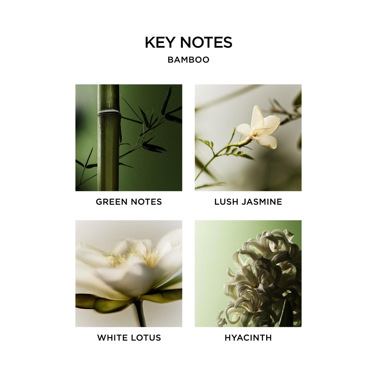 NEST New York Scented Classic Candle, Amber & Incense - 8.1 oz - Up to 60-Hour Burn Time - Reusable Glass Vessel