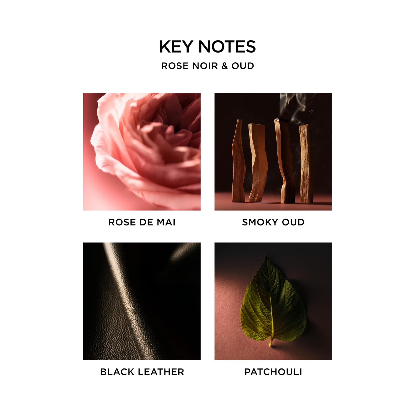 NEST New York Scented Classic Candle, Amber & Incense - 8.1 oz - Up to 60-Hour Burn Time - Reusable Glass Vessel