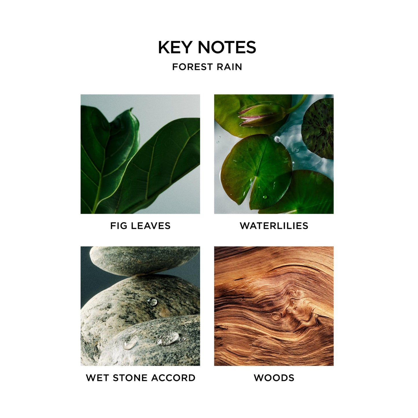 NEST New York Scented Classic Candle, Amber & Incense - 8.1 oz - Up to 60-Hour Burn Time - Reusable Glass Vessel