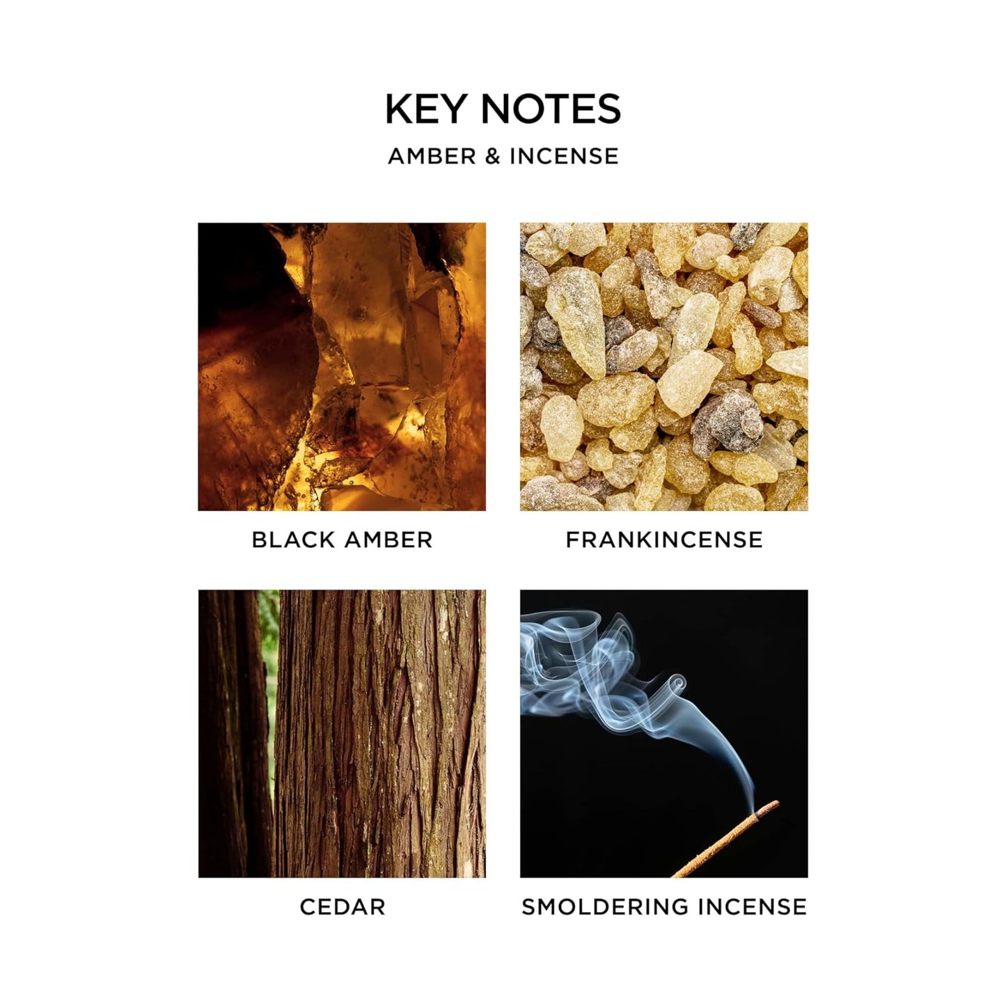 NEST New York Scented Classic Candle, Amber & Incense - 8.1 oz - Up to 60-Hour Burn Time - Reusable Glass Vessel