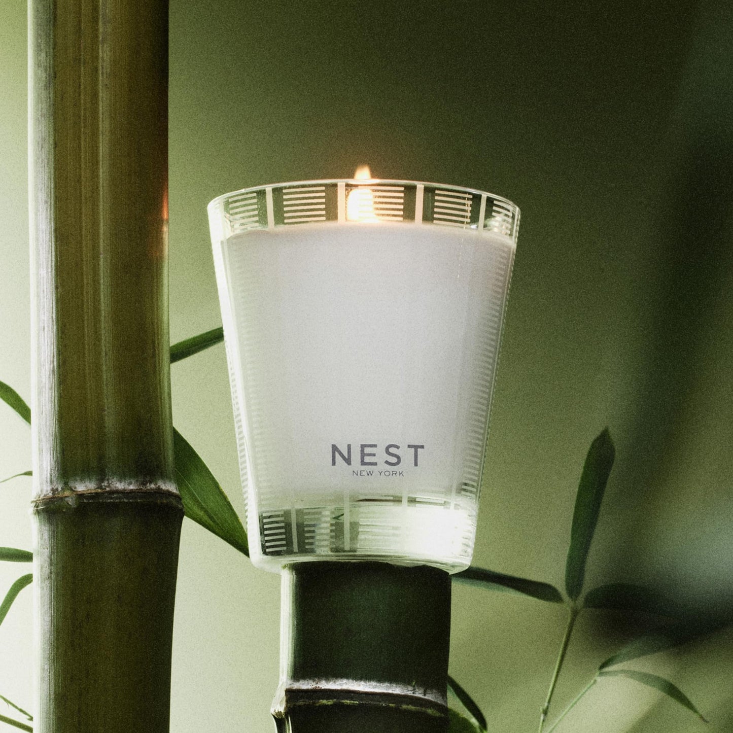 NEST New York Scented Classic Candle, Amber & Incense - 8.1 oz - Up to 60-Hour Burn Time - Reusable Glass Vessel