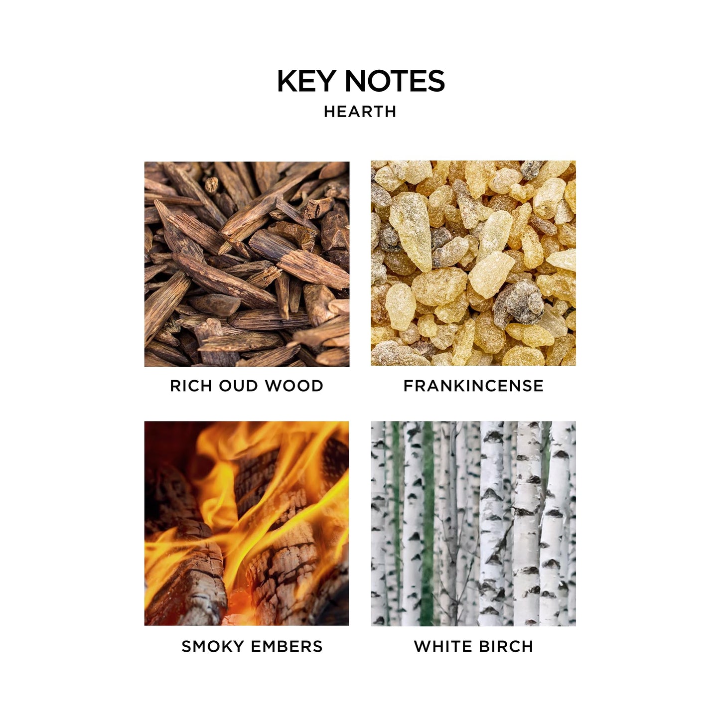 NEST New York Scented Classic Candle, Amber & Incense - 8.1 oz - Up to 60-Hour Burn Time - Reusable Glass Vessel