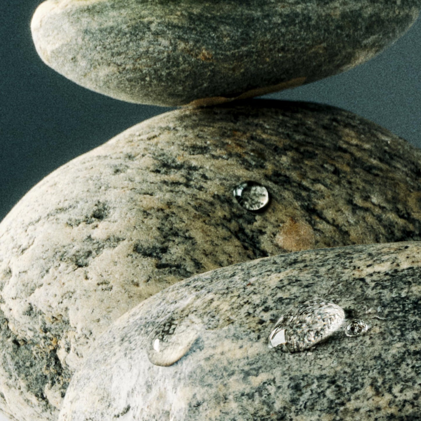 NEST New York Scented Classic Candle, Amber & Incense - 8.1 oz - Up to 60-Hour Burn Time - Reusable Glass Vessel