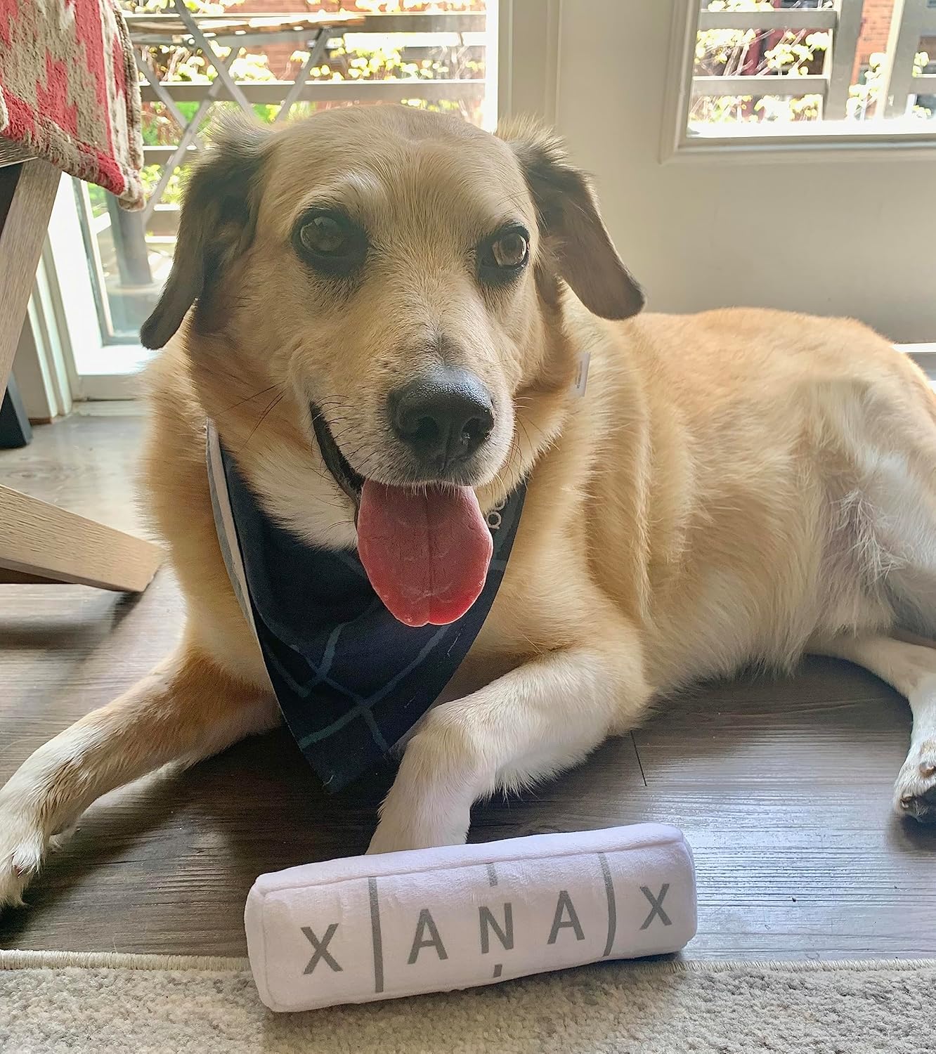 Nestpark Chill Pup Funny Dog Toy - Parody Plush Squeaky Crinkle Dog Toy