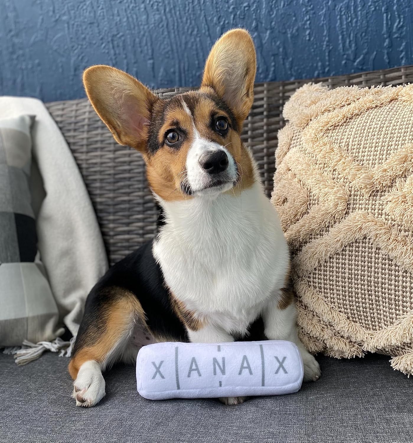 Nestpark Chill Pup Funny Dog Toy - Parody Plush Squeaky Crinkle Dog Toy